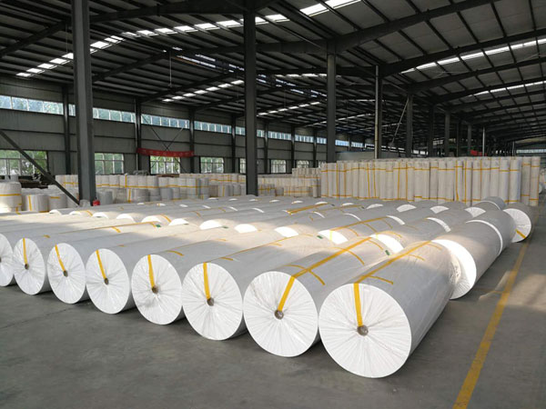 平桂狭缝式涤纶纺粘无纺布